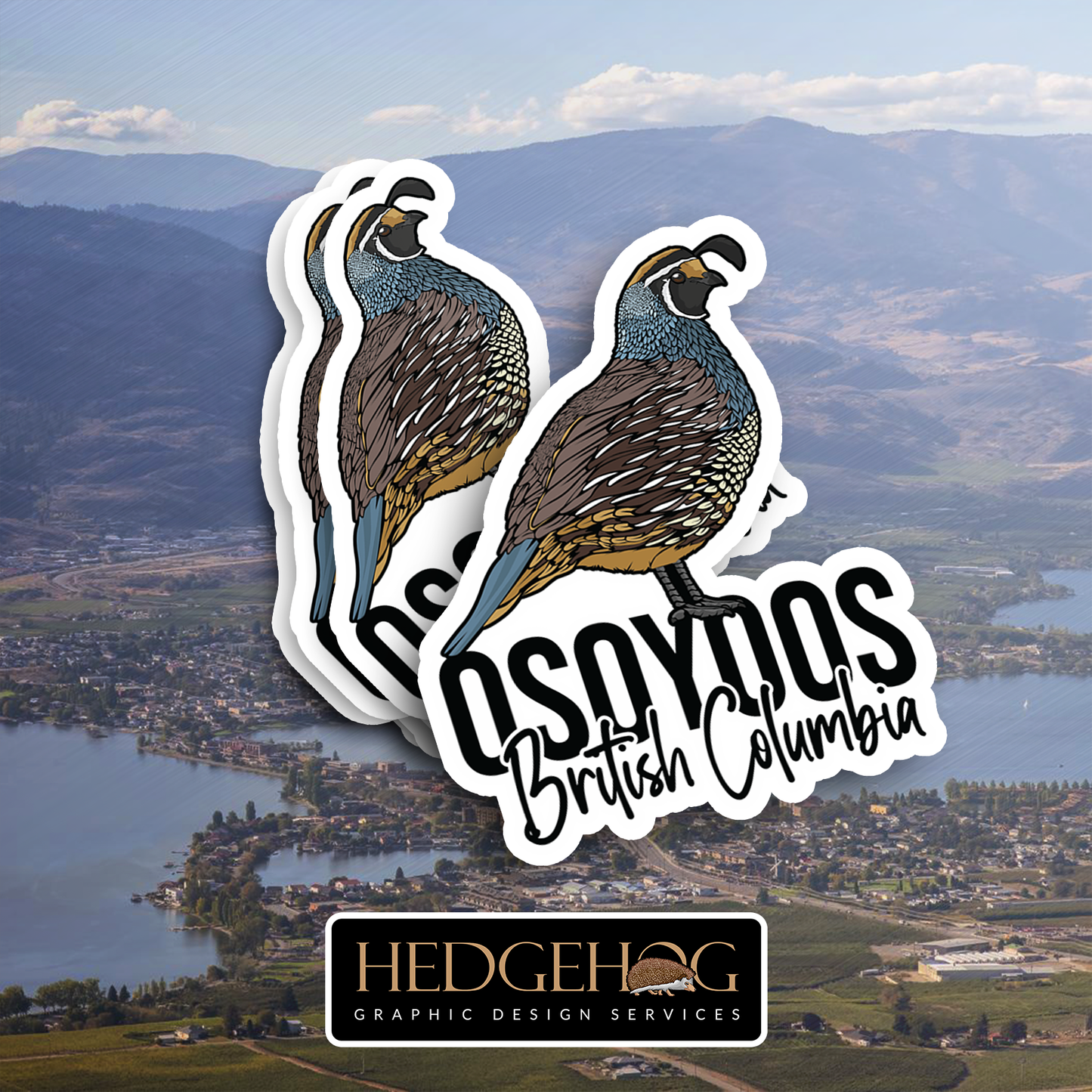 Osoyoos Quail (Pack of 25)